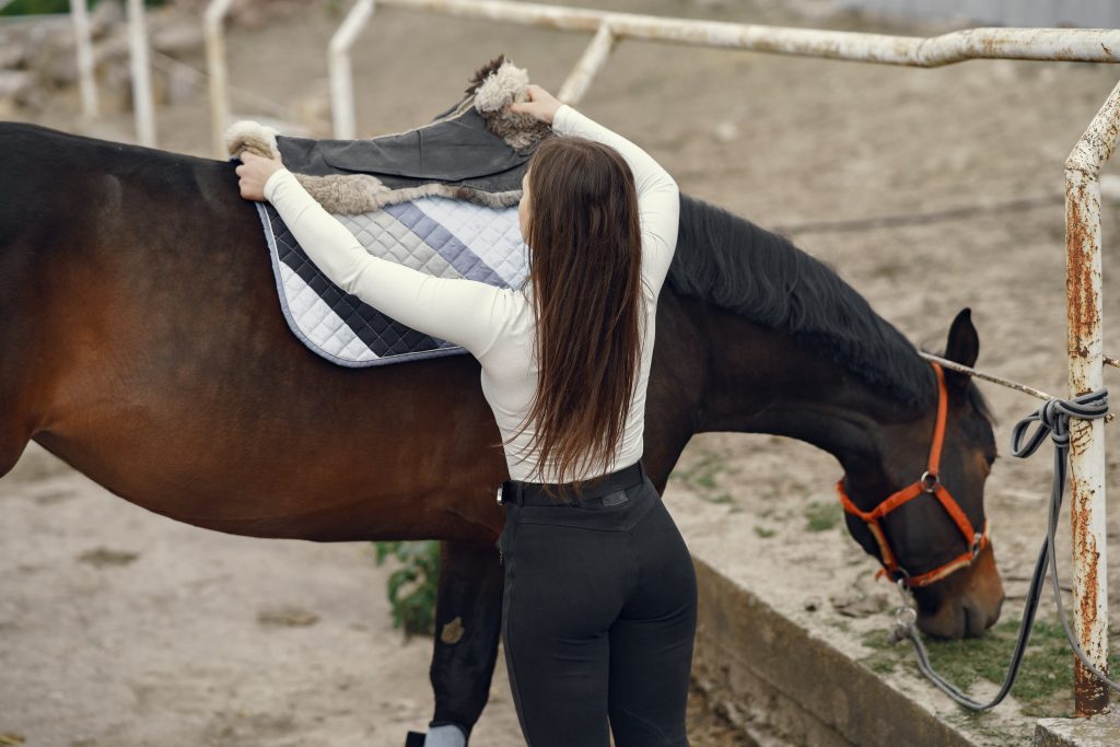 Horse rider fitness training in Texas | Functional Rider