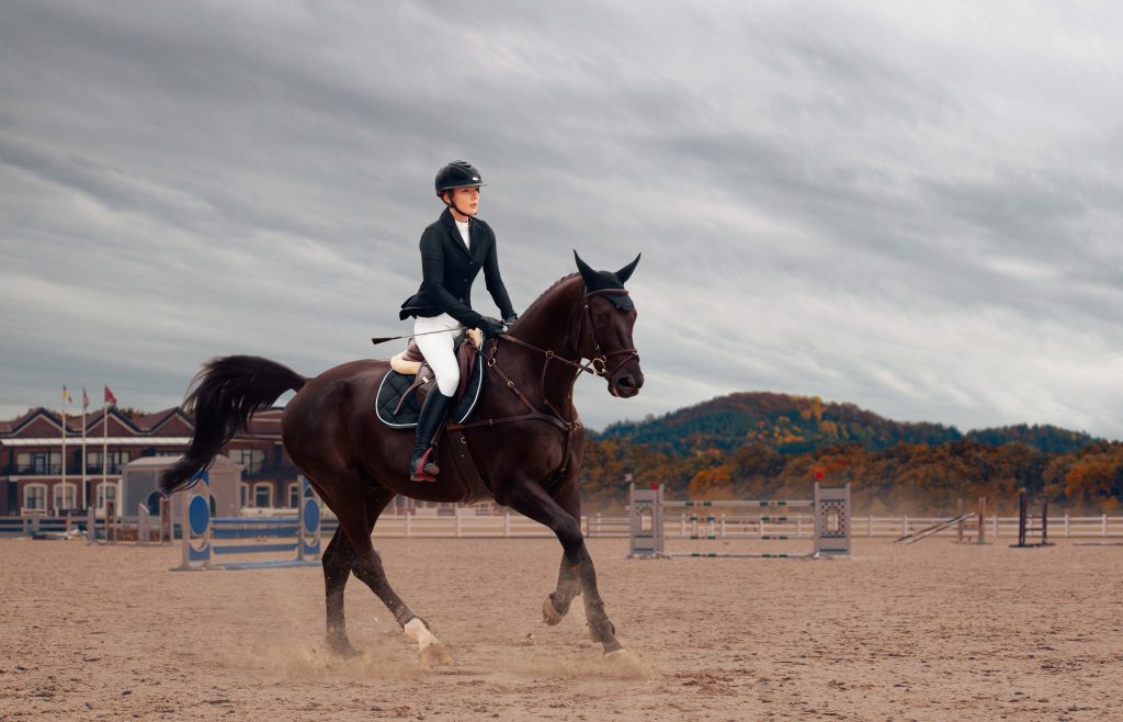 Expert Tips for Every Dressage Rider in Texas | Functional Rider