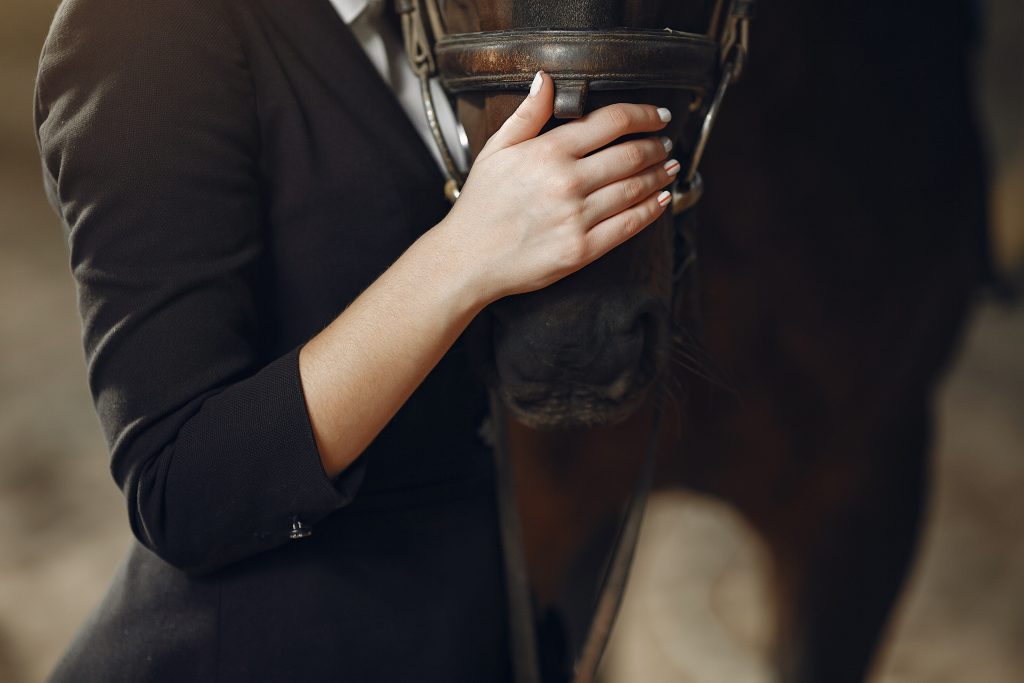 How to Become the Best Dressage Rider in Texas | Functional Rider