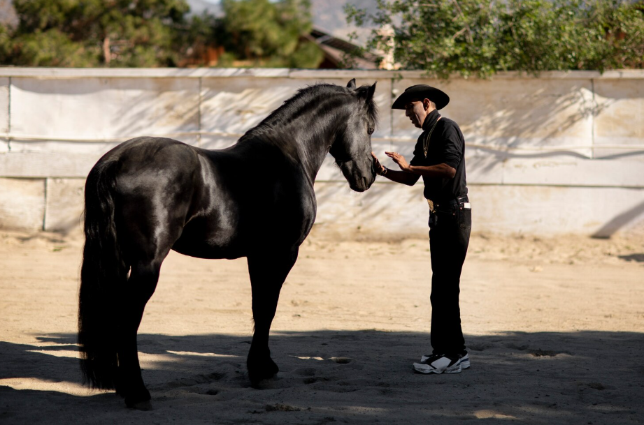 Full Body Workout Programs in Texas | Functional Rider