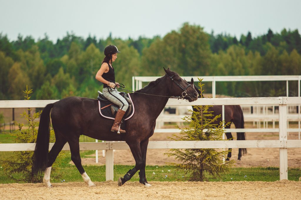 Professional Horse Rider Fitness Exercises in Texas | Functional Rider