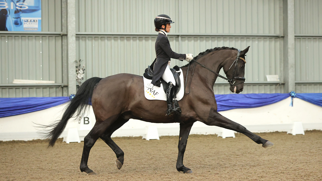 Increase Core Strength and Symmetry to Improve Performance in the Saddle for Dressage Riders in Florida