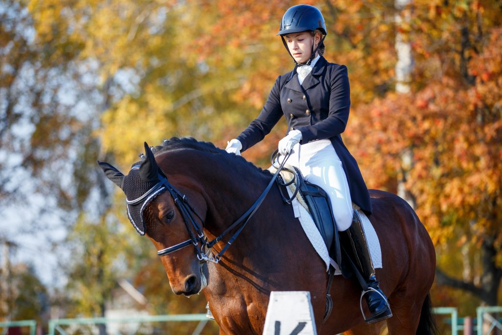 Improve Performance in the Saddle: Rider Position and Body Awareness Tips for Dressage Riders
